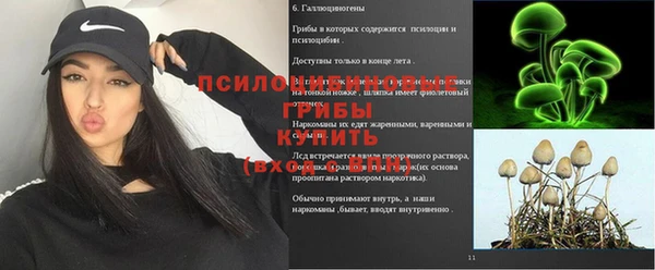 молекула духа Медвежьегорск