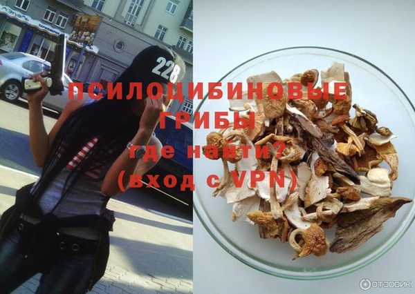 молекула духа Медвежьегорск