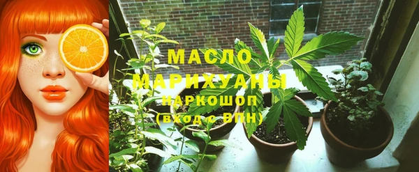 молекула духа Медвежьегорск