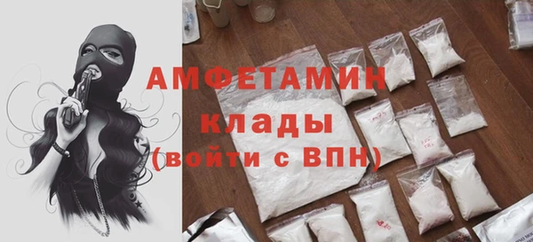 молекула духа Медвежьегорск