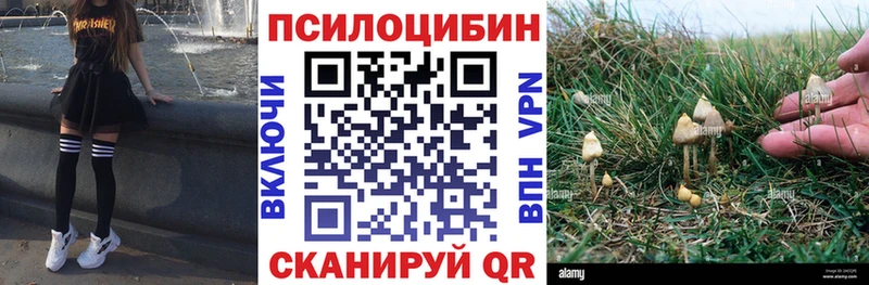 hydra сайт  Заречный  Галлюциногенные грибы Psilocybine cubensis 