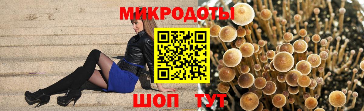 Галлюциногенные грибы MAGIC MUSHROOMS Заречный