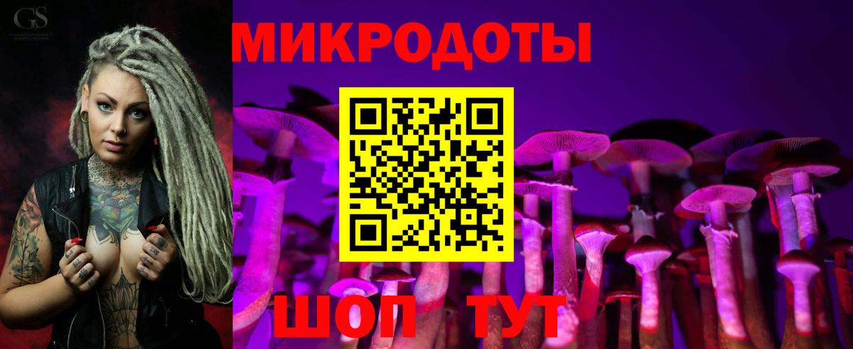 Заречный  Псилоцибиновые грибы мицелий  Псилоцибиновые грибы GOLDEN TEACHER  Вход с VPN 